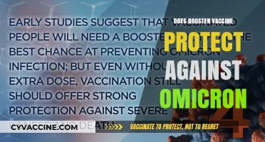 Booster Vaccine Efficacy: Does It Shield Against Omicron Variant?
