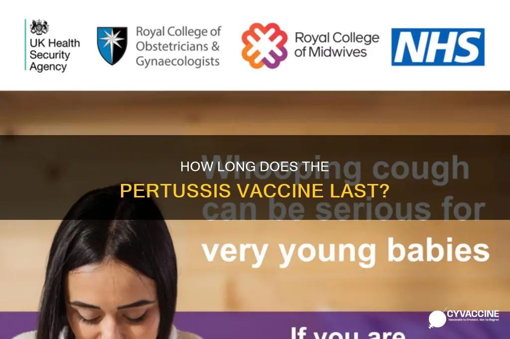 does bortella vaccine last more than 6 months
