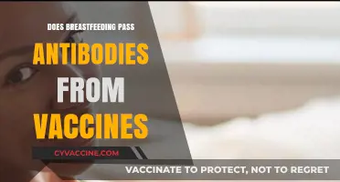 Breastfeeding and Vaccine Antibodies: What Moms Need to Know
