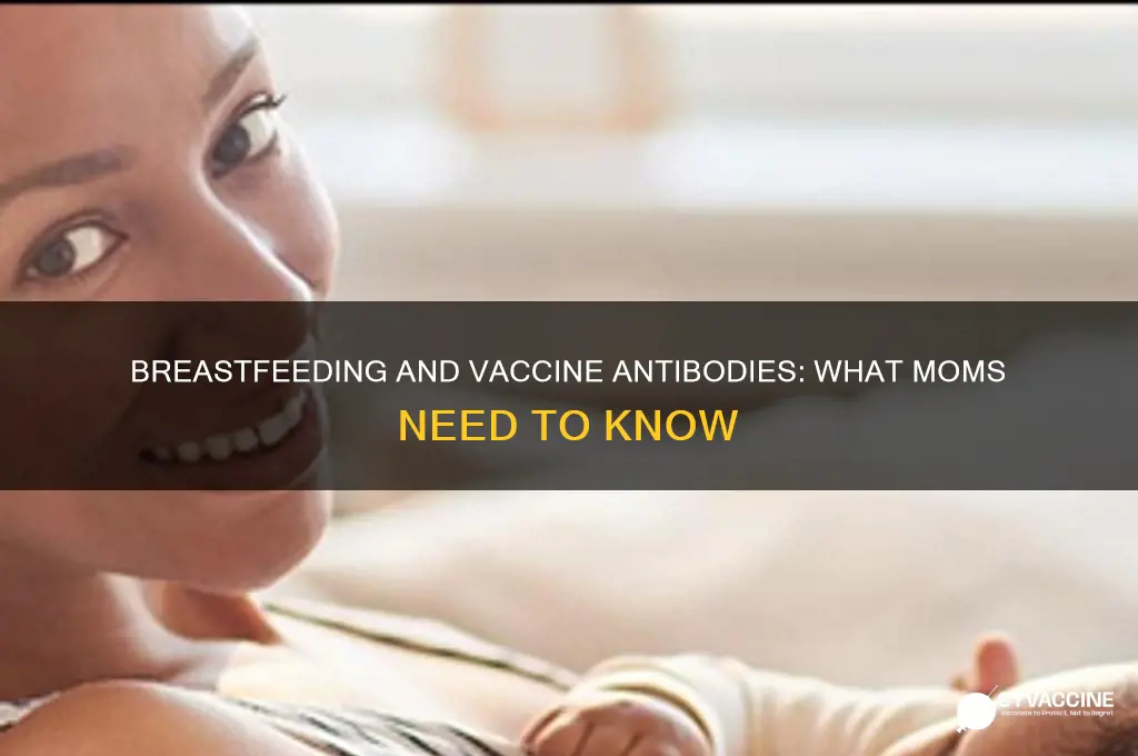 does breastfeeding pass antibodies from vaccines
