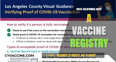 California's Vaccine Registry: What It Is and How It Works