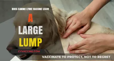 Canine Lyme Vaccine: Large Lumps a Concern?