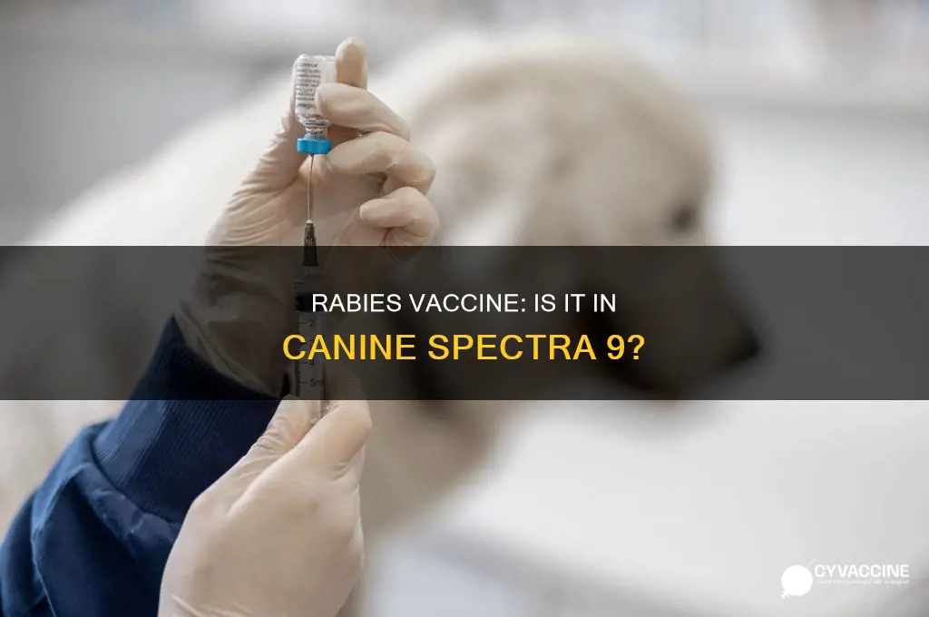 does canine spectra 9 have a rabies vaccine in it