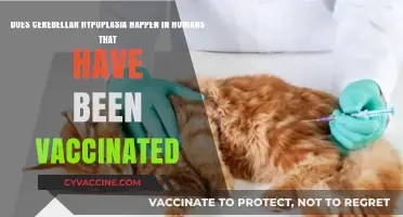 Vaccinations and Cerebellar Hypoplasia: Is There a Link?