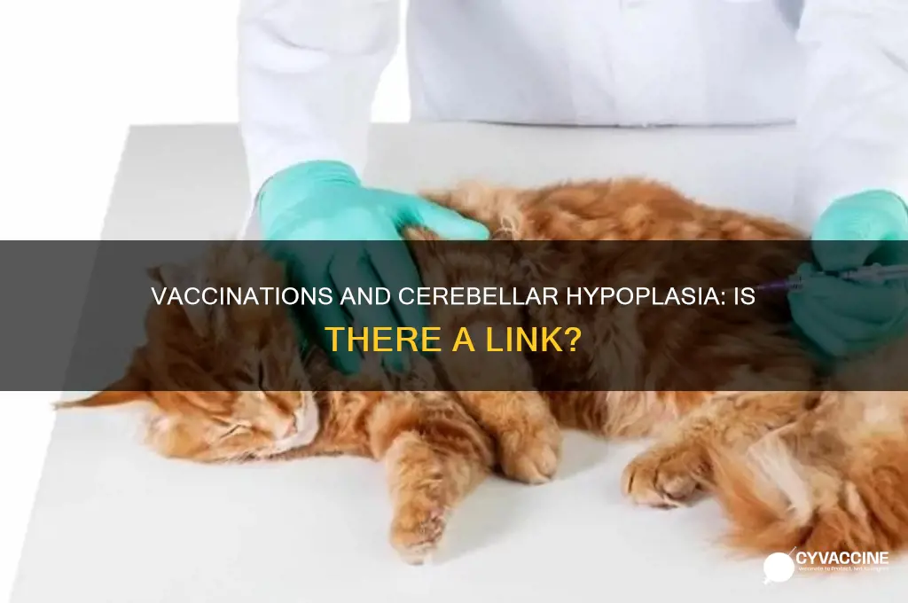 does cerebellar hypoplasia happen in humans that have been vaccinated