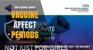 Cervical Cancer Vaccine and Menstrual Cycles: What's the Connection?