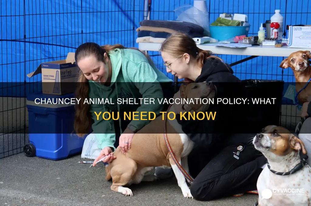 does chauncey animal shelter vaccinate animals
