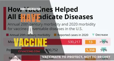 Chickenpox Vaccine: Availability, Effectiveness, and Importance Explained