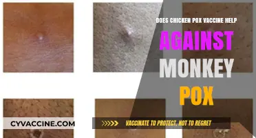 Chicken Pox Vaccine: A Defense Against Monkey Pox?