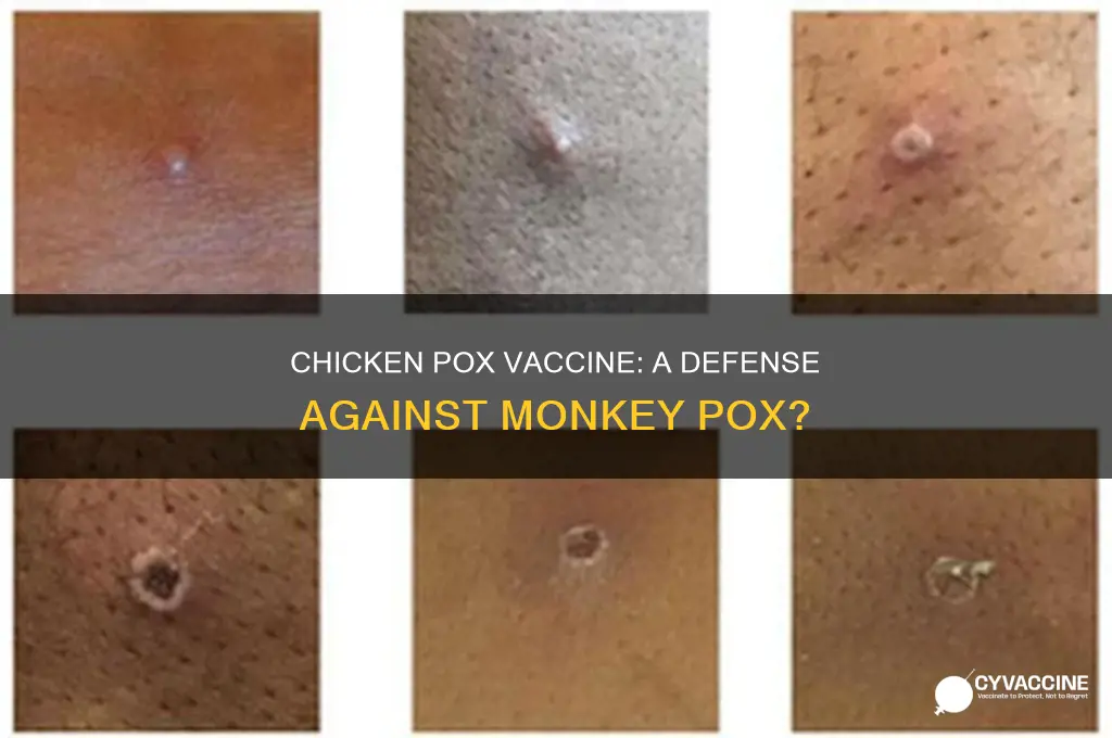 does chicken pox vaccine help against monkey pox
