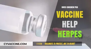 Chickenpox Vaccine and Herpes: Unraveling the Connection and Benefits