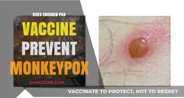 Chickenpox Vaccine and Monkeypox: Unraveling the Connection and Protection