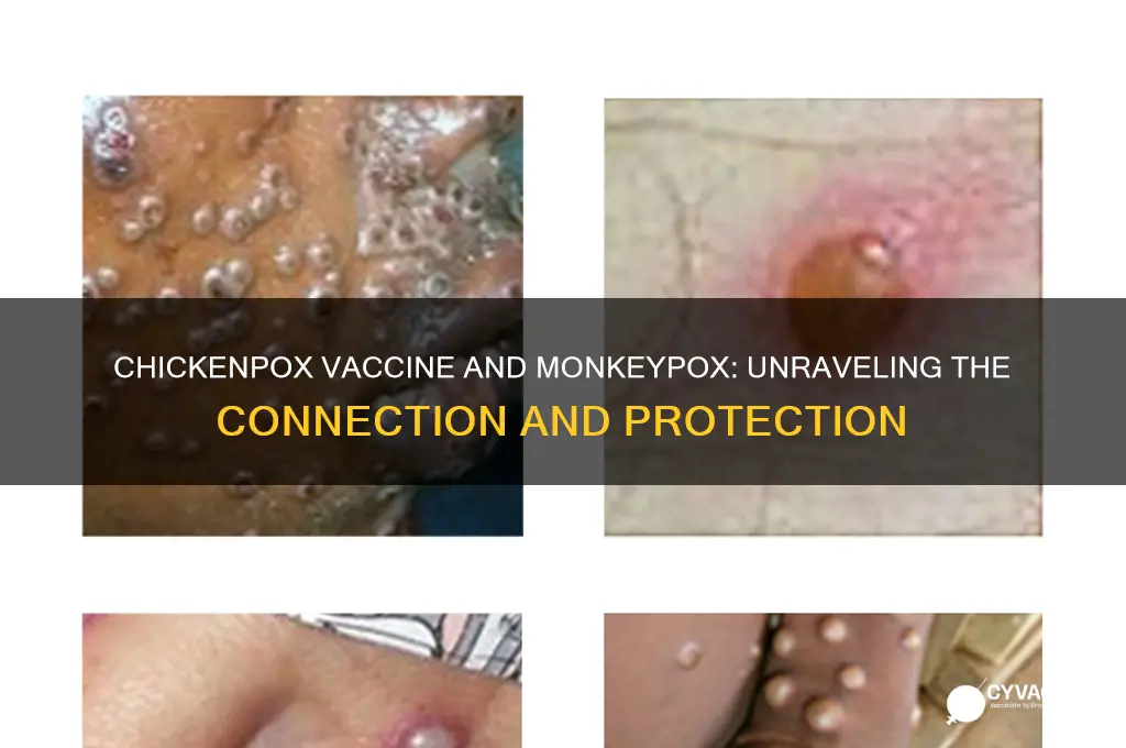 does chicken pox vaccine prevent monkeypox