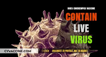 Does the Chickenpox Vaccine Contain Live Virus? Facts Explained