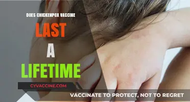 Does the Chickenpox Vaccine Provide Lifelong Immunity? What You Need to Know