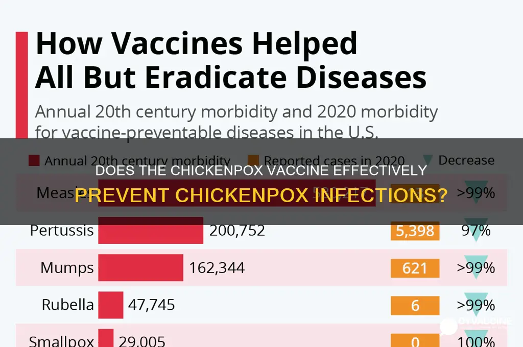 does chickenpox vaccine prevent chicken pox