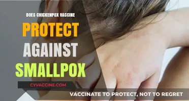 Chickenpox Vaccine and Smallpox: Unraveling Cross-Protection Myths and Facts