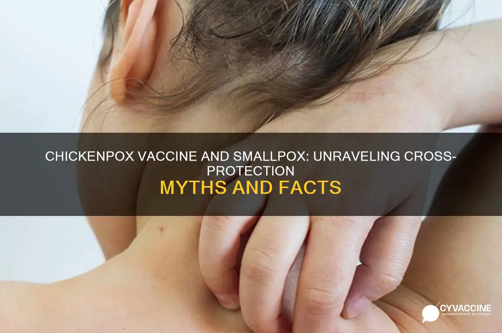 does chickenpox vaccine protect against smallpox