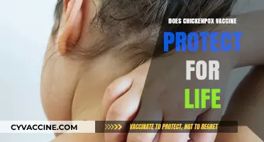 Does the Chickenpox Vaccine Offer Lifelong Immunity? What You Need to Know
