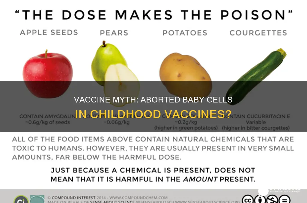 does childhood vaccines have aborted baby cells in them