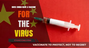 China's Vaccine Development: A Cure for the Virus?