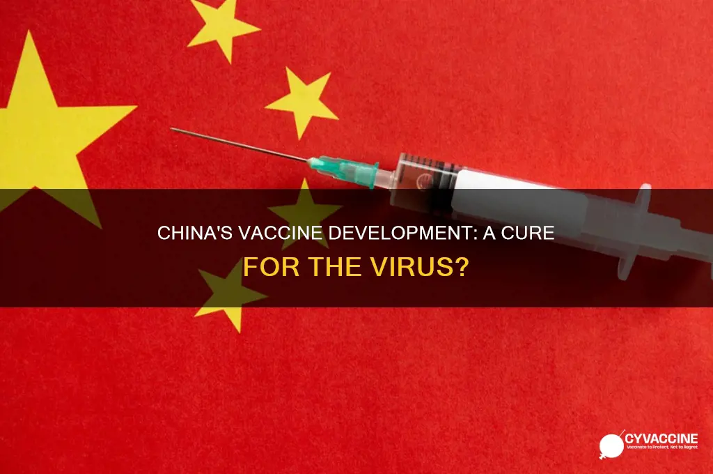 does china have a vaccine for the virus