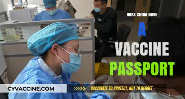 China's Vaccine Passport: Implementation, Usage, and Global Implications