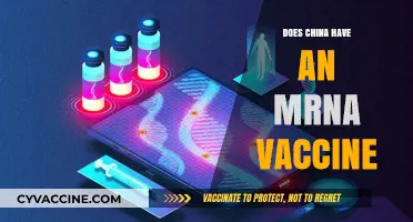 China's mRNA Vaccine Development: Progress, Challenges, and Global Implications