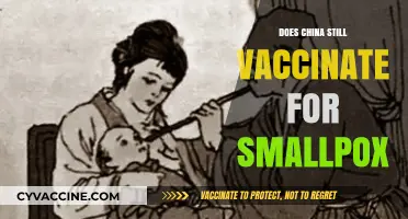China's Smallpox Vaccination Status: Current Practices and Global Context