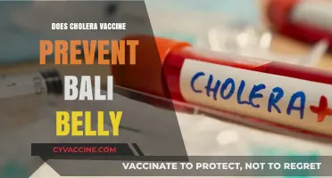 Cholera Vaccine and Bali Belly: Does It Offer Protection?