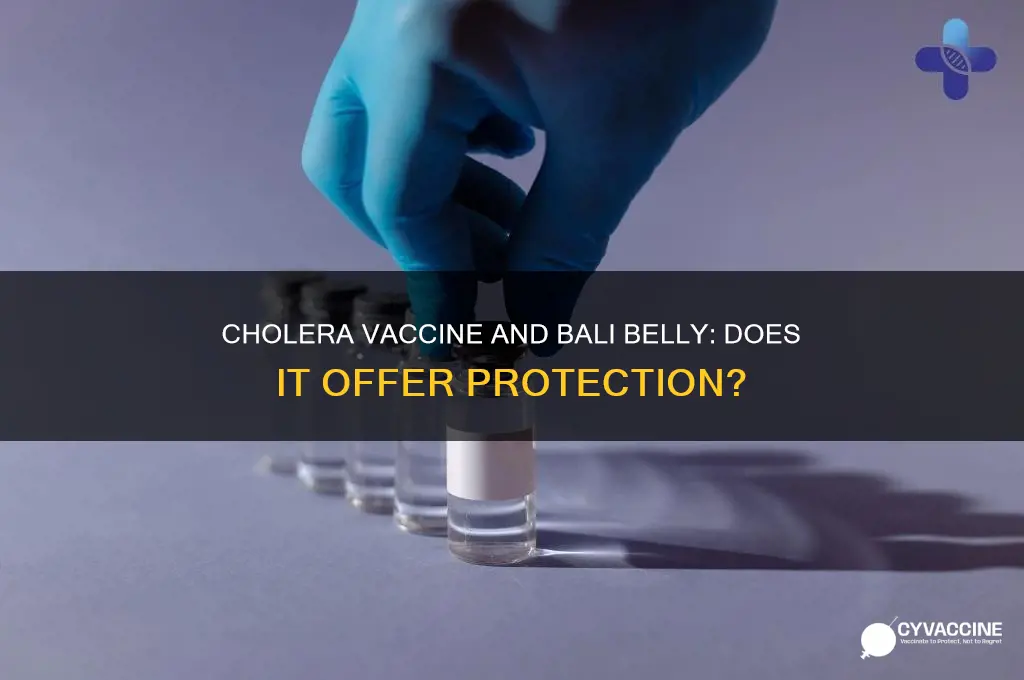 does cholera vaccine prevent bali belly