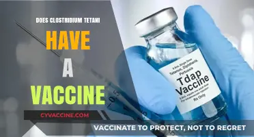 Clostridium Tetani: Understanding the Vaccine and Its Importance