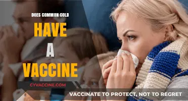 Can We Prevent the Common Cold with a Vaccine?