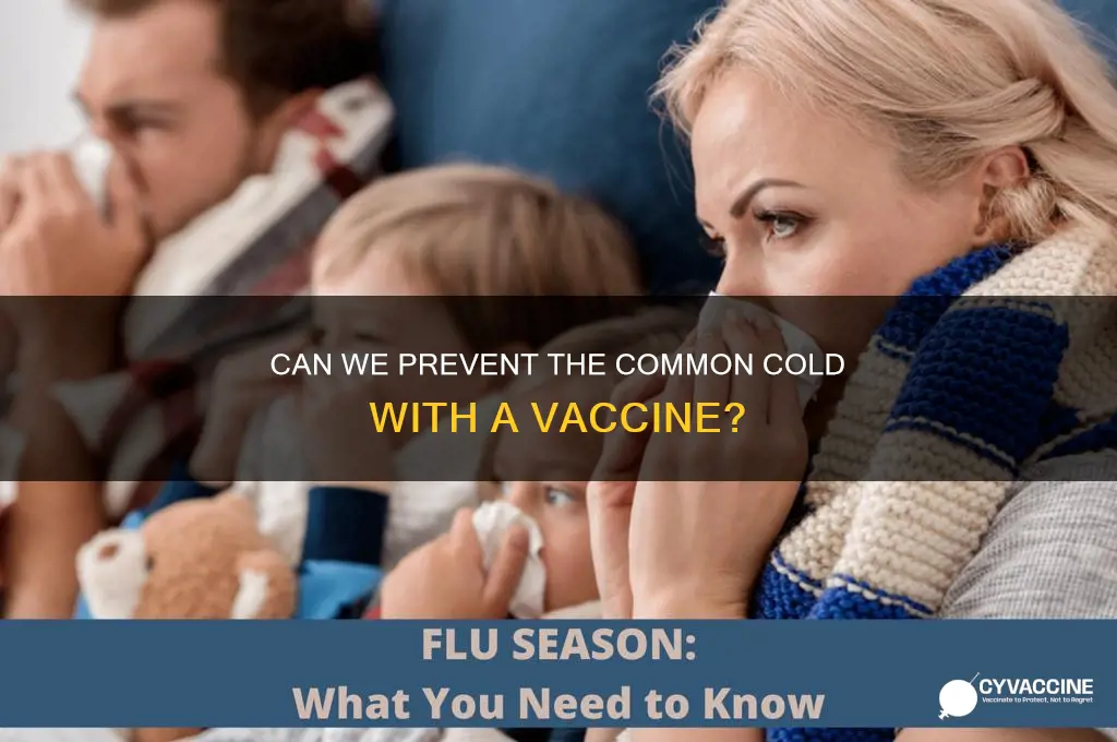 does common cold have a vaccine