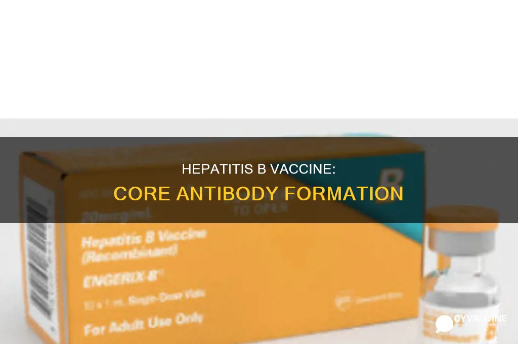 does core antibody form with vaccine hepatitis b