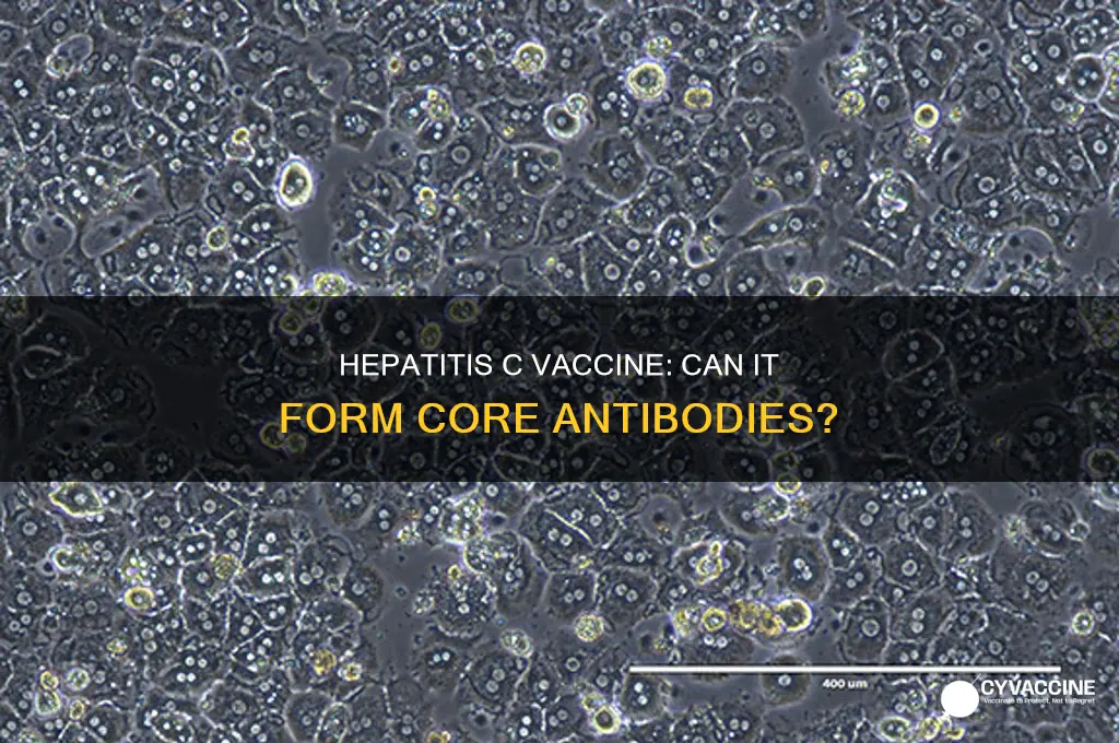 does core antibody form with vaccine hepatitis c