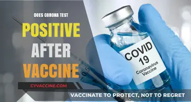 Can COVID-19 Vaccines Cause False Positive Test Results?