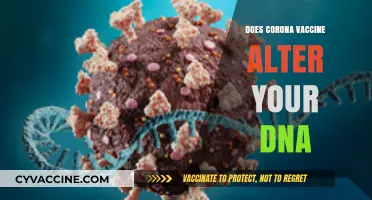 Does the COVID-19 Vaccine Alter Your DNA? Separating Fact from Fiction