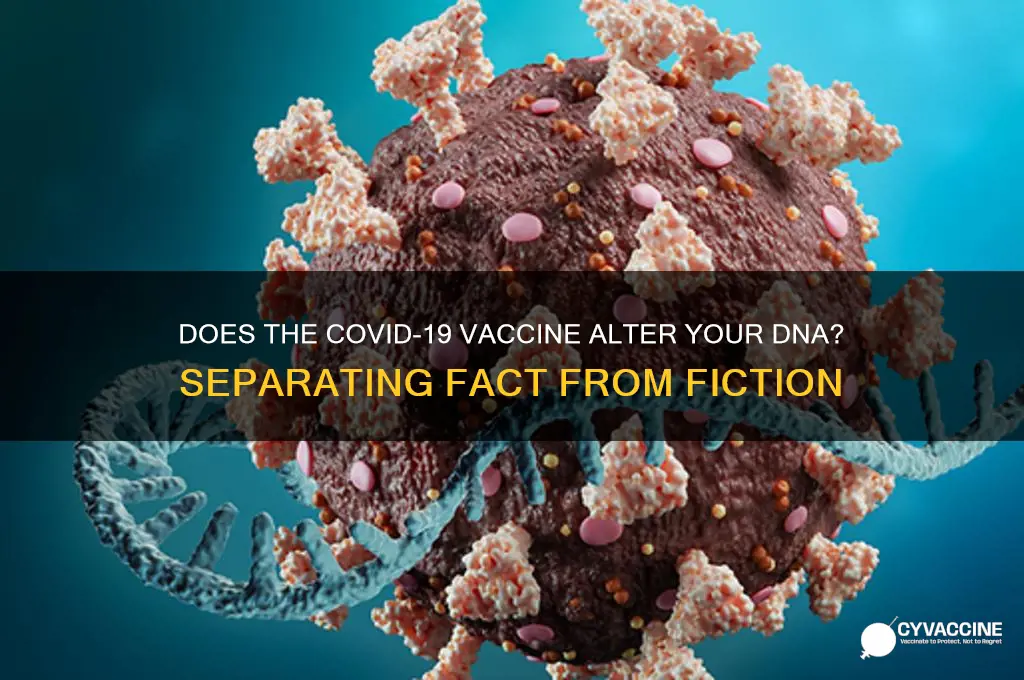does corona vaccine alter your dna