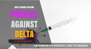 Does the COVID-19 Vaccine Effectively Shield Against Delta Variant?
