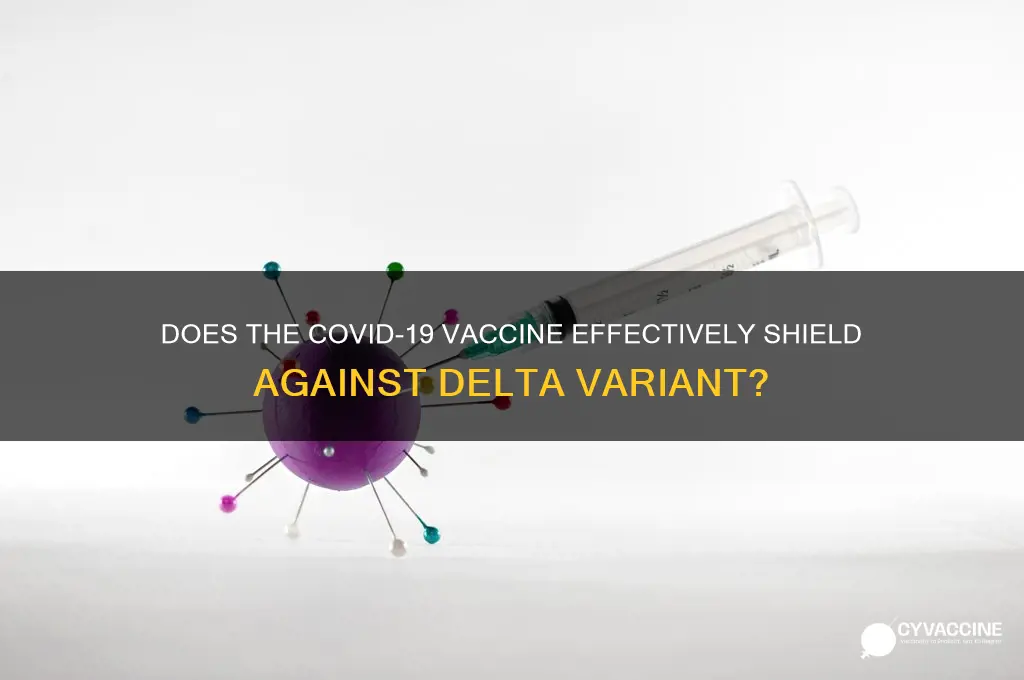 does corona vaccine protect against delta