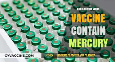Does the COVID-19 Vaccine Contain Mercury? Facts and Myths Debunked