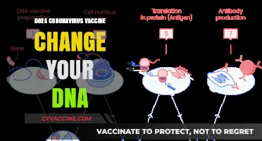 Does the Coronavirus Vaccine Alter Your DNA? Separating Fact from Fiction