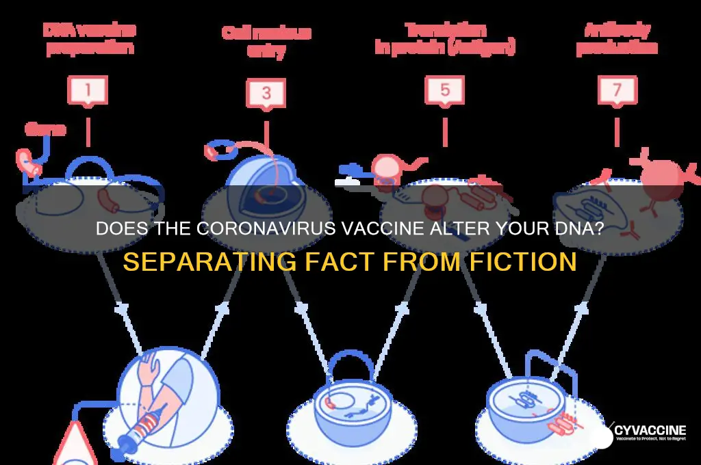 does coronavirus vaccine change your dna