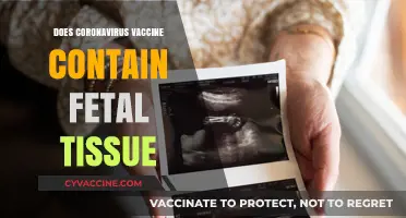 Coronavirus Vaccine and Fetal Tissue: Separating Fact from Fiction