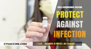 Does the Coronavirus Vaccine Prevent Infection? What You Need to Know
