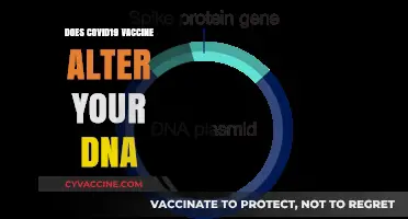COVID-19 Vaccines and DNA: Separating Fact from Fiction