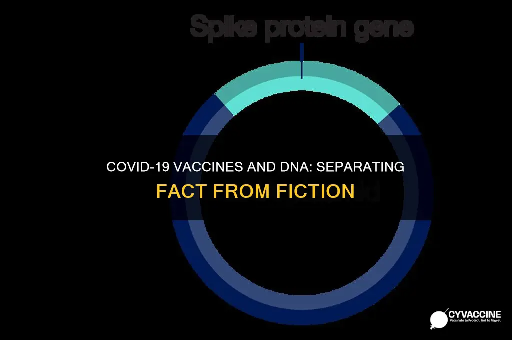 does covid19 vaccine alter your dna