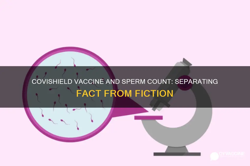 does covishield vaccine affect sperm count