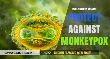 Can Cowpox Vaccination Offer Protection Against Monkeypox? Exploring the Link